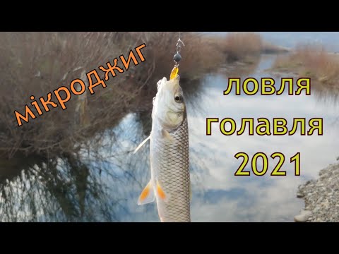 Видео: ЗИМОВА РИБОЛОВЛЯ  як ловити зимою на спінінг ГОЛАВЛЬ 2021 ловля