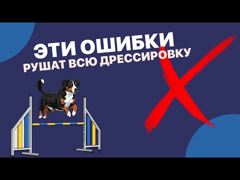 Видео: ТОП ОШИБОК, ИЗ-ЗА КОТОРЫХ СОБАКА ВАС НЕ СЛУШАЕТ