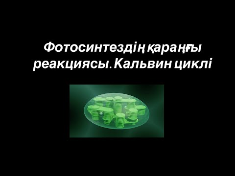 Видео: Фотосинтездің қараңғы реакциясы. Кальвин циклі.