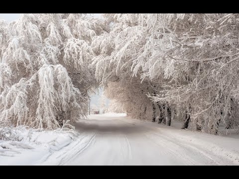 Видео: Заметает следы белый снег ст. В. Михнев,  муз.  Ш. Фингеров, вокал -  Л. Великанова, звук-А. Макалиш