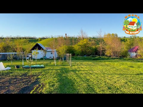 Видео: 🟢ВЕРНУЛИСЬ ИЗ АРМЕНИИ на хутор и сразу за работу! Посадили картошку, покосили траву.
