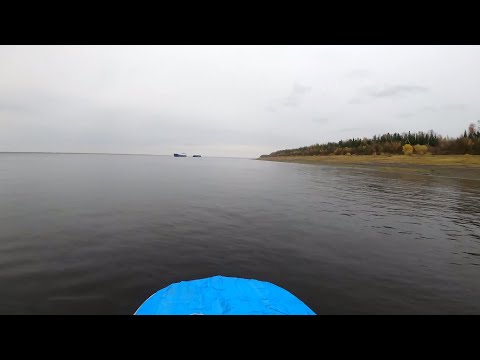 Видео: Рыбалка неводом на реке Енисей.