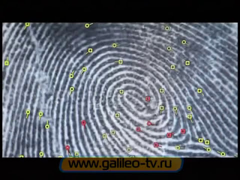 Видео: Галилео. Криминалистика 3. Биология и ДНК