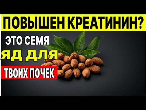 Видео: Почки В Опасности 3 Семени, Которые Можно Есть Безопасно И Те Которые Не Нужно