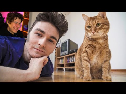 Видео: ЧТО МЫ ДЕЛАЕМ ЗА ДЕНЬ? - РЕАКЦИЯ НА TheBrianMaps