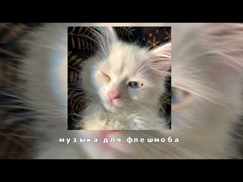 Видео: музыка для флешмоба #музыка #флешмоб #для
