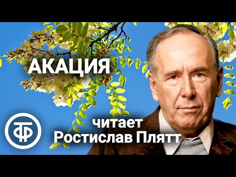 Видео: Ростислав Плятт "Акация". Рассказ французского писателя Анри де Ренье (1976)