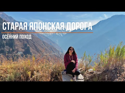 Видео: Старая Японская Дорога | Осенний поход