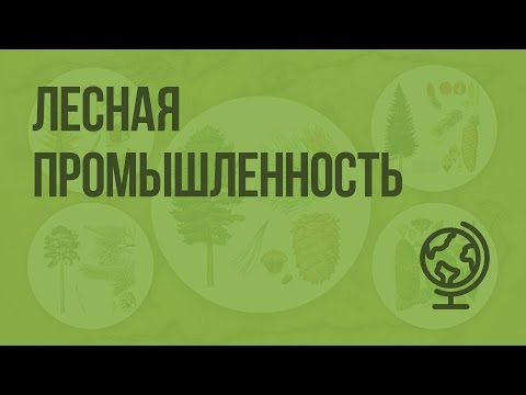 Видео: Лесная промышленность. Видеоурок по географии 9 класс