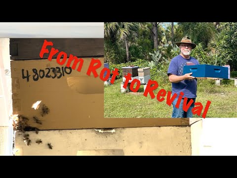 Видео: Новая жизнь старых пчелиных ульев?