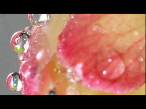 Видео: Виктория Романовна в прямом эфире!ВАШ ЛЮБОВНЫЙ КАНАЛ✍️💖