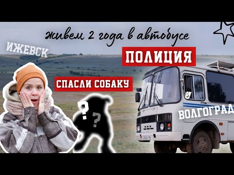 Видео: Жизнь в самодельном АВТОДОМЕ | СПАСЕНИЕ СОБАКИ, ПОЛИЦИЯ | путь на Урал