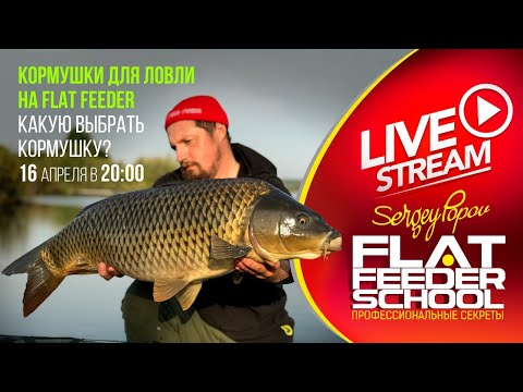 Видео: Кормушки для ловли на флэт фидер / #5 Лекция / FLAT FEEDER SCHOOL