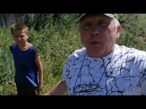 Видео: Пионерское Советский район.