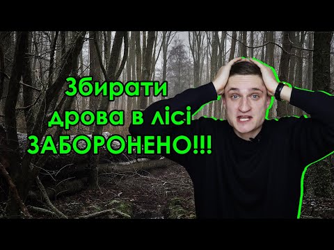 Видео: УВАГА!!! Збирати дрова в лісі ЗАБОРОНЕНО!