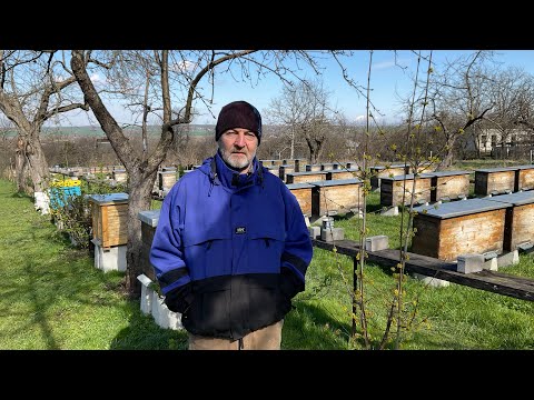 Видео: Підготовчі роботи до бджолярського сезону (26.03.2024 р.)