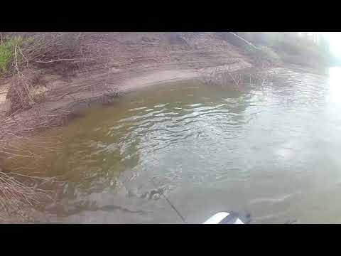 Видео: река Чулым  "Томская область"  18 .09. 2021г.