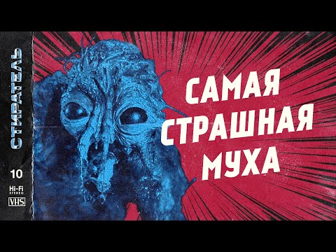Видео: [СТИРАТЕЛЬ] #10 - МУХА Дэвида Кроненберга.