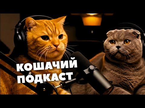 Видео: КОТЫ ЖЕСТКО ПРО ХОЗЯЕВ. ИИ-МЕМЫ #10