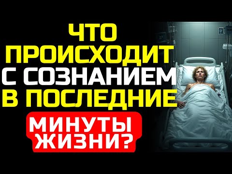 Видео: Тайна, которую хранят вернувшиеся с того света: что они увидели?