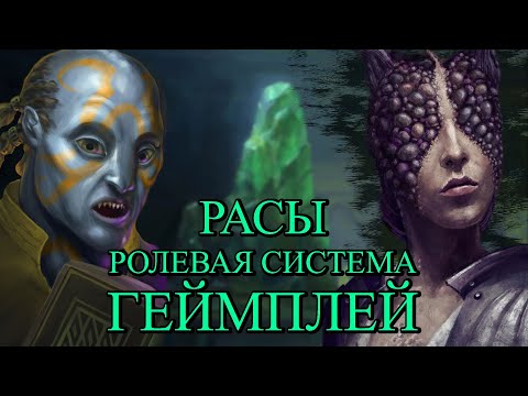 Видео: Pillars of Eternity | Расы, Ролплей, Геймплей (Дополнение)