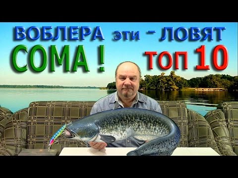 Видео: ВОБЛЕРА эти - ЛОВЯТ СОМА ! ТОП - 10