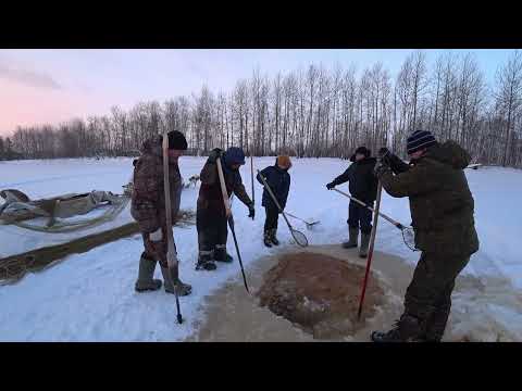 Видео: День второй, неводим.