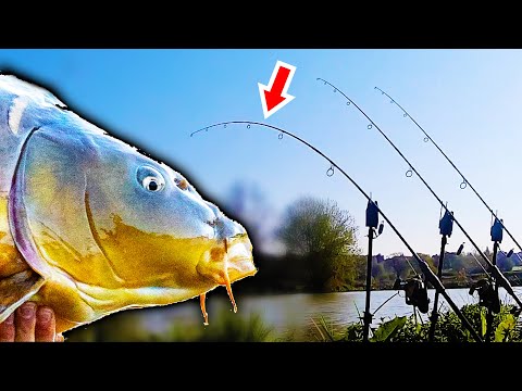 Видео: Мои поиски карпа весом 40 фунтов...