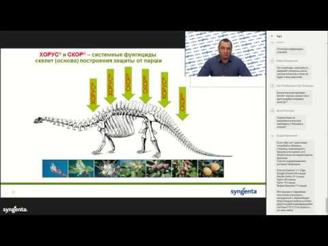 Видео: Вебинар «Узнайте как уберечь яблоневый сад от болезней»