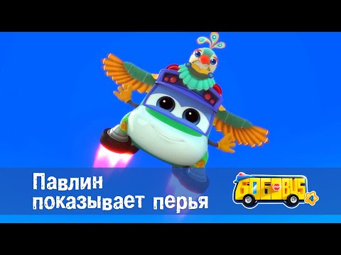 Видео: Школьный автобус🚌 Гордон. Сезон 4 - Серия 21.Павлин показывает перья  - Мультфильм
