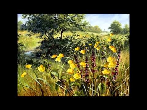 Видео: Английская художник-самоучка Mary Dipnall. Полевые цветы.
