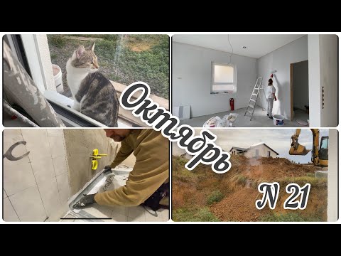 Видео: МОХНАТЫЙ ГОСТЬ / КРАСИМ-КЛЕЕМ / итоги за октябрь