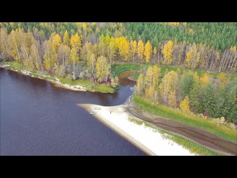 Видео: Золотая осень 2025  