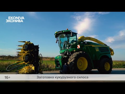 Видео: СЕКРЕТ ПРАВИЛЬНОЙ ЗАГОТОВКИ кукурузного силоса