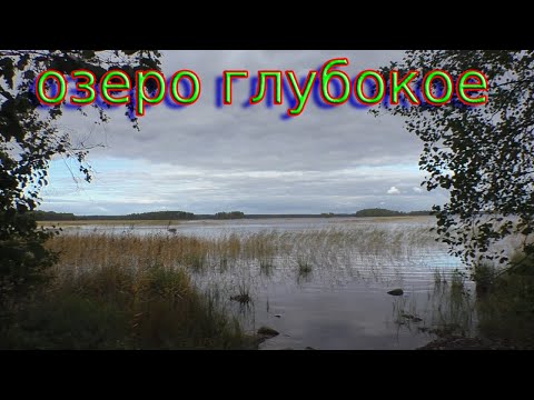 Видео: Озеро Глубокое. Выборгский район. Новое место. Рыбалка.
