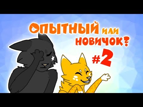 Видео: CatWar | Игра глазами новичка и опытного #2