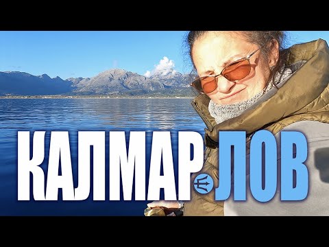 Видео: КАК да УЛОВИМ Калмари ?