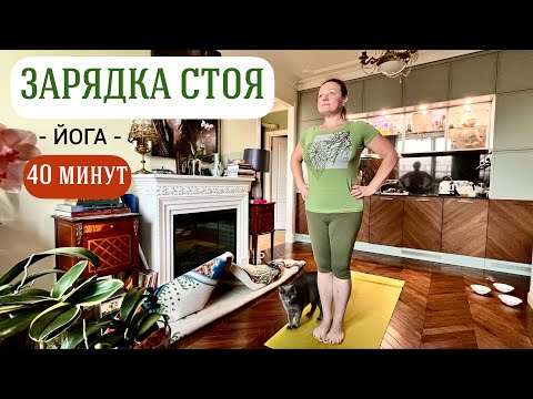 Видео: Очень простая зарядка СТОЯ!