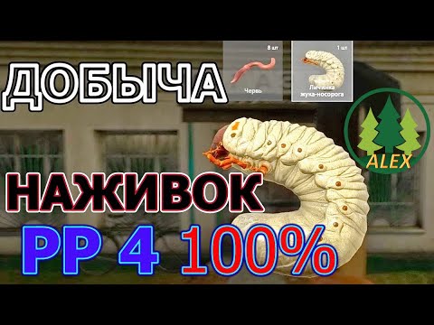 Видео: Прокачка добычи наживки до 100% в РР4