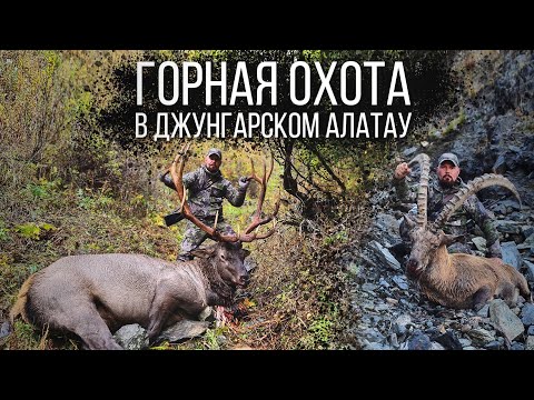 Видео: Горная охота на Марала и Козерога в горах Джунгарского Алатау. Mountain hunting for maral and ibex.