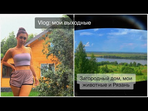 Видео: Vlog: уехала в Рязань. Новый дом и мои животные
