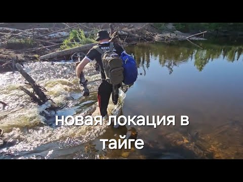 Видео: НОВАЯ ИЗБА В ТАЙГЕ/ПОИСК НОЧЛЕГА/МЕДВЕДЬ НЕ ДАВАЛ СПАТЬ
