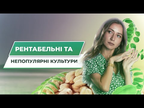 Видео: РЕНТАБЕЛЬНІСТЬ 200%. НІШЕВІ КУЛЬТУРИ: ГІРЧИЦЯ, ГРЕЧКА, НУТ, ПРОСО, СОРГО.