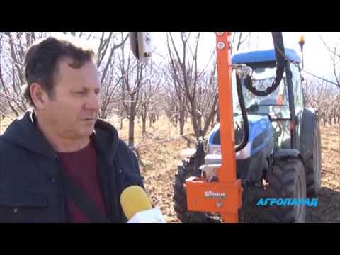 Видео: Овощни градини, докъдето ти стигат очите