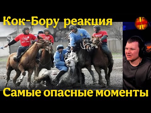Видео: Кок-Бору | Самые опасные моменты | каштанов реакция