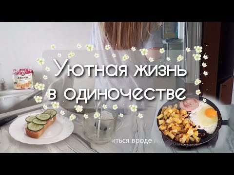 Видео: Уютная рутина в моментах жизни со мной  / Silent vlog