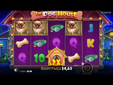 Видео: 🐾 СОБАЧИЙ ЗАНОС! Dog House Х463! 💥 УДАЧНЫЙ ВЫИГРЫШ! 🎉