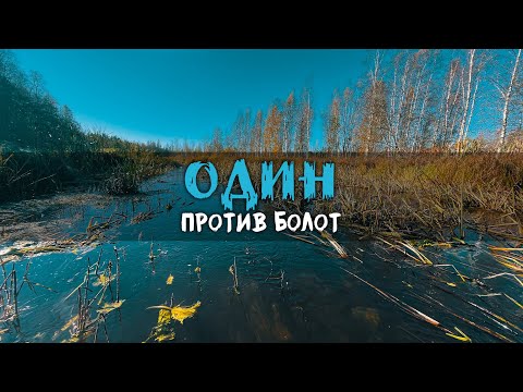 Видео: НАШЁЛ, где ПРЯЧЕТСЯ ВСЯ эта РЫБА! Осенний Мормышинг на течении с Daiwa Luvias 2500s-xh