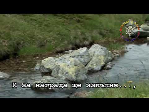 Видео: Лягушка (Жабка - превод)