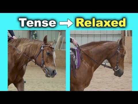 Видео: КАК ОСТАНОВИТЬ ЛОШАДЬ, ТЯНУЩУЮ ВОЖДЕНЬ 🐴 🤔